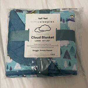 Little Sleepies Teal and Purple Cloud Blanket